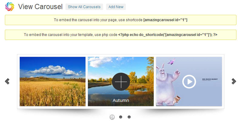 WordPress jQuery carousel plugin